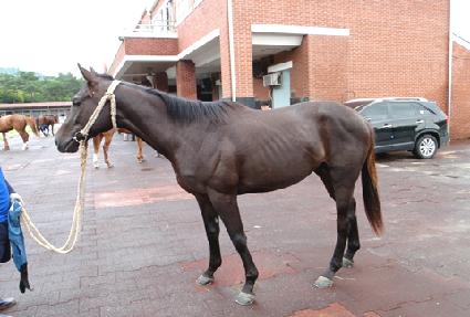 ��θ��� ����