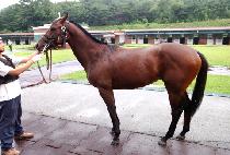 ���̿��� (K ONE G) ����