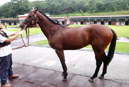 ���̿��� ����