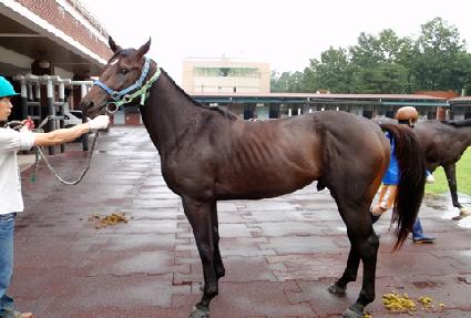 �ص�õ�� ����