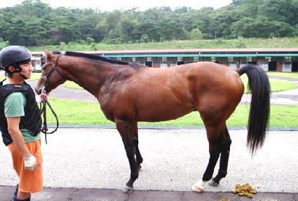 ����� ����