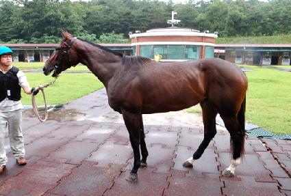 ���׶�ĭ ����