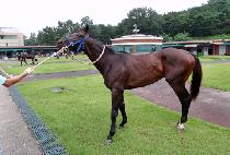 �¾�ű� (TAEYANGSINGI) ����