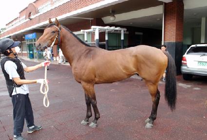 ���ũ����� ����