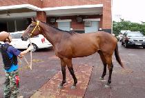 õ�� (CHEONMAEK) ����