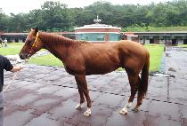 ����â (DAEHAPCHANG) ����