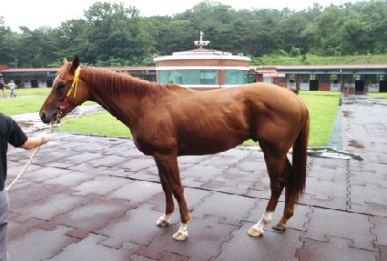 ����â ����