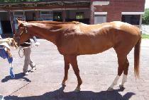 ���ʽ���Ƽ (WINNER��S PARTY) ����