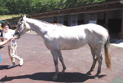 �ĸ������� ����