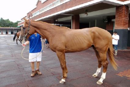 �̷縮 ����