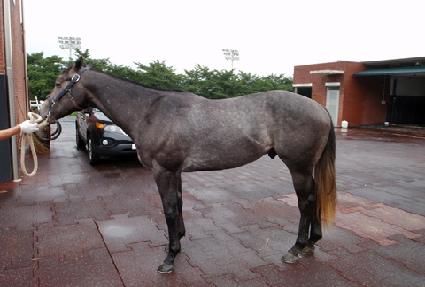 �������� ����