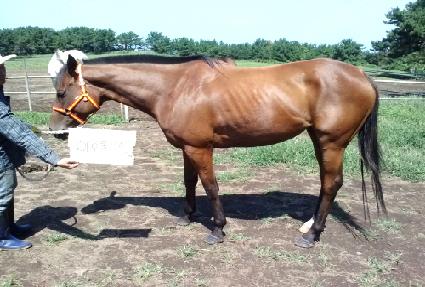 ��ȣ���ɽ� ����