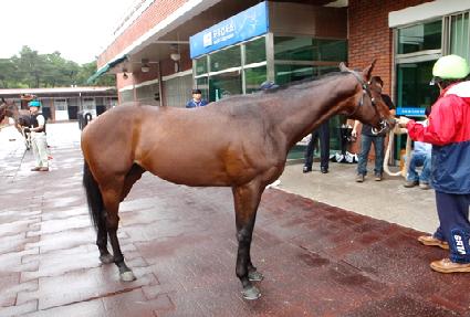 �����ŵ� ����