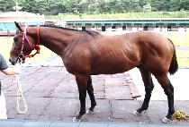 ��Ǫ��¯ (NEULPUREUNJJANG) ����