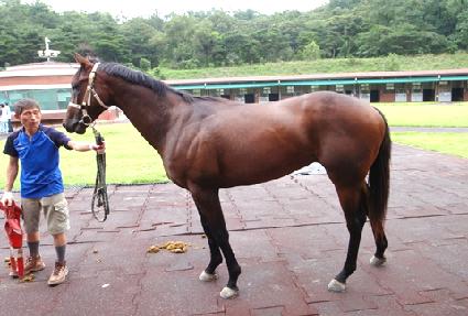 Ȳ�ݺ��� ����