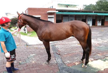 ������ ����