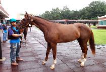 �䵿������ (YODONG BOMULSEOM) ����