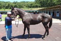 �������� (SUJEONGGACHI) ����