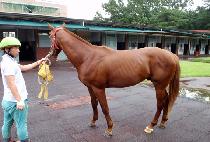 �ö󿵿� (OLA YEONGUNG) ����