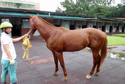 �ö󿵿� ����