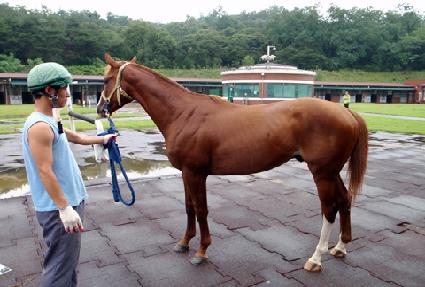 �������� ����