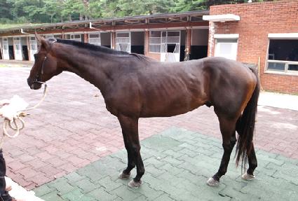 ���°��� ����