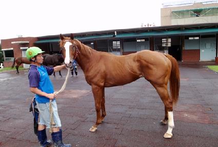 �ͻ�ȣ���� ����