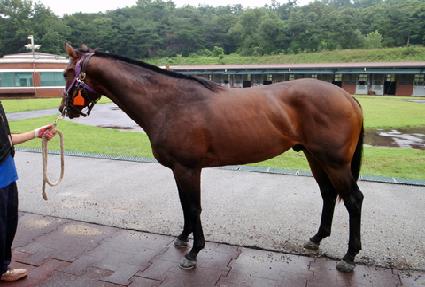 ���̿�Ŀ��� ����