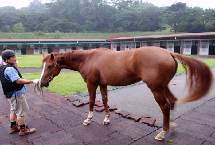 ���Ǵ��� ����