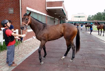 õ���ǹ̼� ����