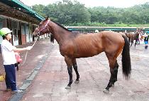 Ʈ������Ʈ (TRANSPORT) ����