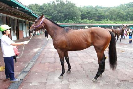 Ʈ������Ʈ ����