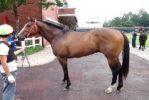 ���̿����� (J.S. SUN) ����