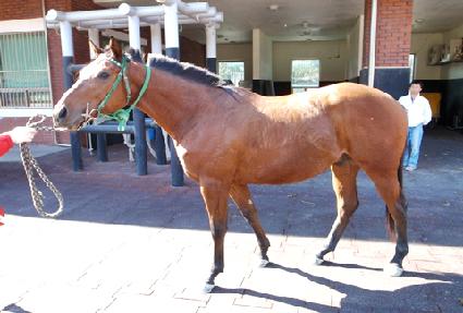 ��Ŀ���̼� ����