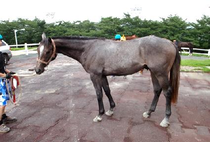 �������� ����