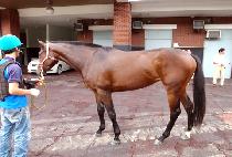 �̽�ƽ��� (MYSTIC WOMAN) ����