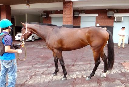 �̽�ƽ��� ����