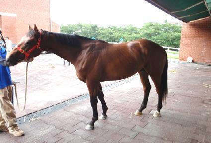 ������� ����