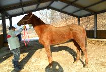 �����Ҹ� (BYEOLBIT SORI) ����