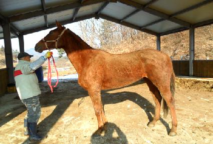 �����Ҹ� ����