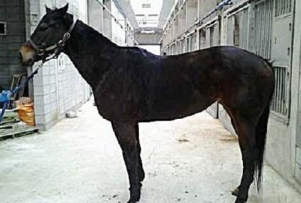 ����� ����