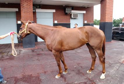 �׸������� ����