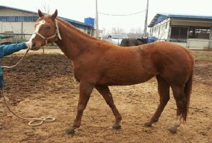 ��ξ�ħ ����