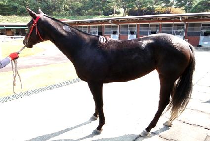 �ε��ü��Ű ����