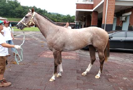 Ȳ�ݴ�� ����