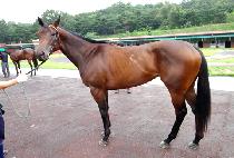 óġ�������̸� (CHURCHBELLSMAYRING) ����