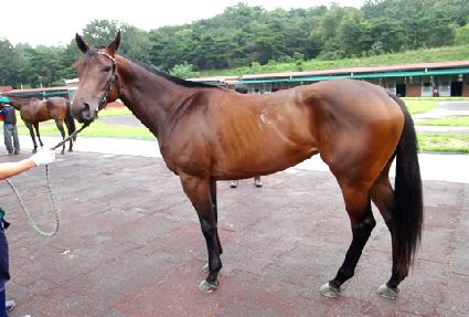 óġ�������̸� ����