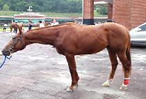 �ٶ��� (BARAMSIN) ����