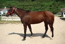 GAMDONGUIBADA picture