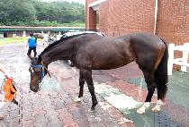 �����Ϸ� (JAKJEONWALLYO) ����